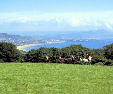 Afficher l'image d'origine