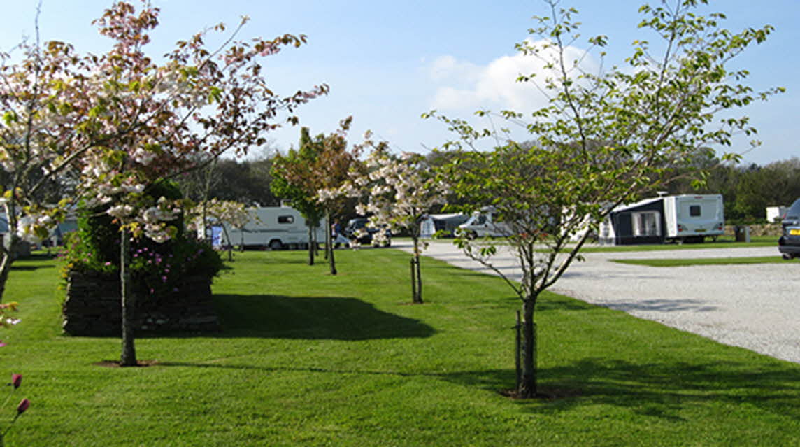 Carnon Downs Park The Caravan Club
