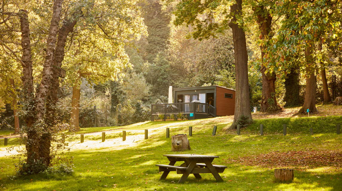 Abbey Wood Campsite & Caravan Site The Caravan Club
