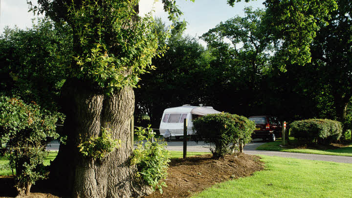 York Beechwood Grange Club Site | The Caravan Club
