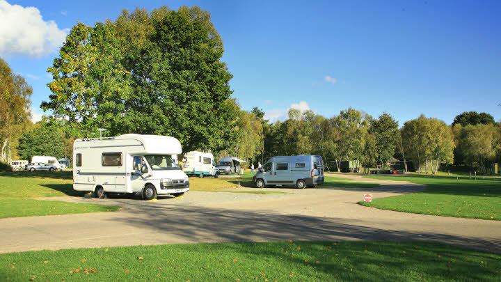 Clumber Park Caravan & Motorhome Site | The Caravan Club