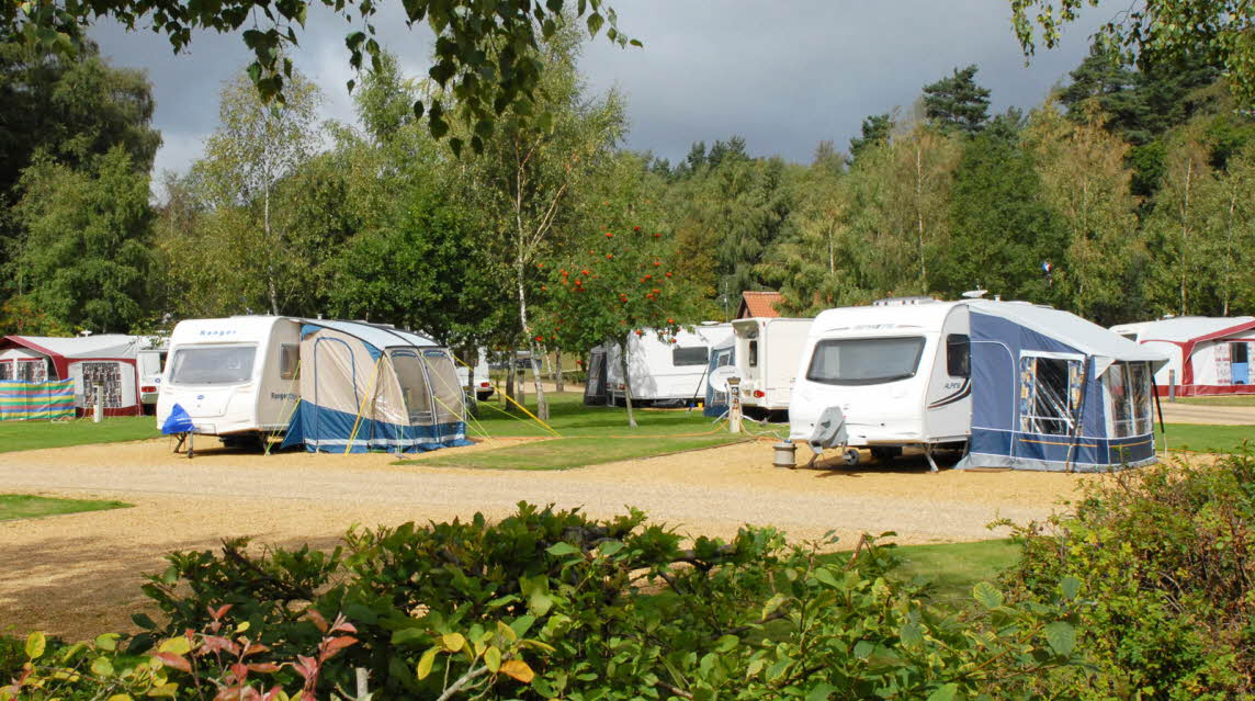 The Sandringham Estate Club Site The Caravan Club