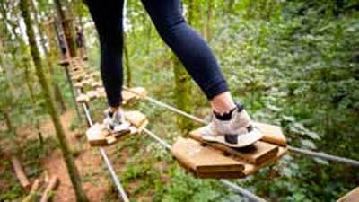 Offer image for: Go Ape - Wendover - 10% discount