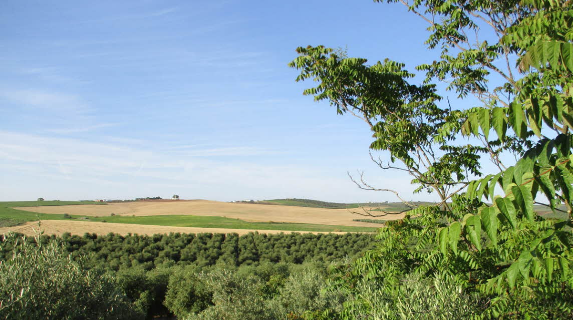 La Campina caravan site in Spain The Caravan Club